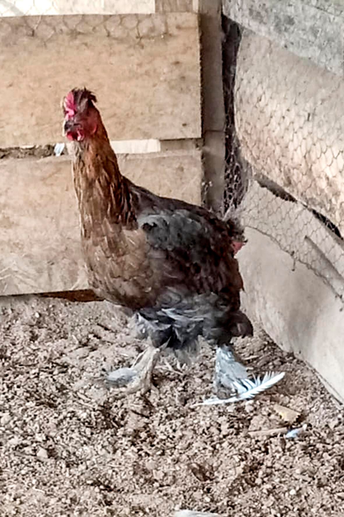 WhatsApp Image 2025-04-03 at 7.35.48 PM copia.jpg